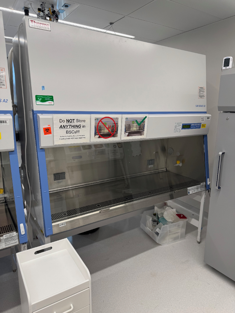 Image of Thermo 1300 Series A2 6' Biosafety Cabinet